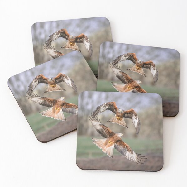 Item preview, Red Kites (Milvus milvus) designed and sold by Steve Liptrot Photography.