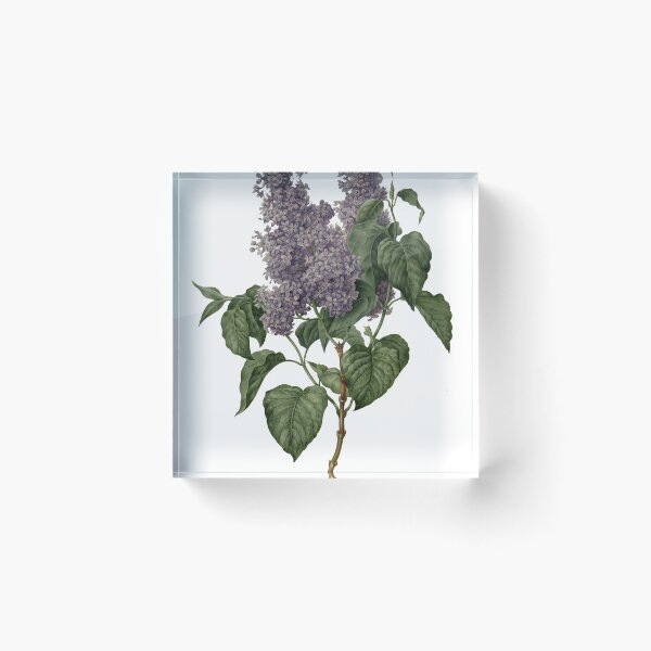 Item preview, lilac designed and sold by ShoreBa.