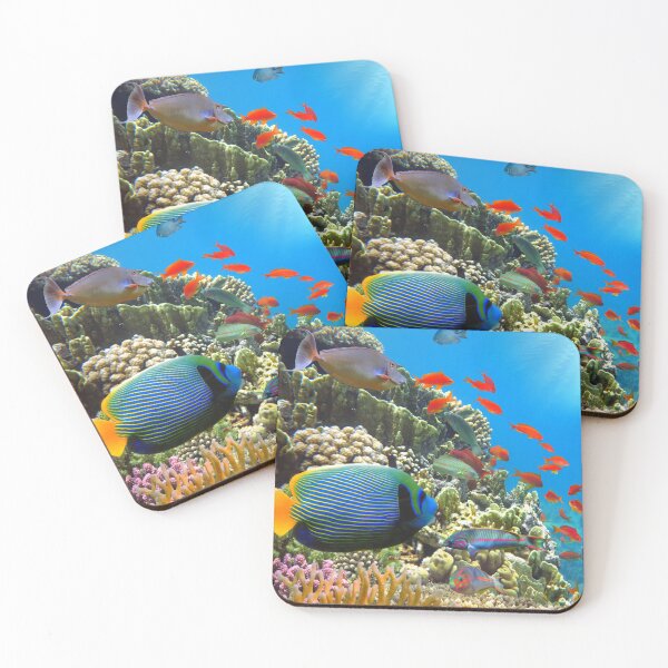 Item preview, Coral reef with fire coral in tropical sea-underwater designed and sold by wisamart.