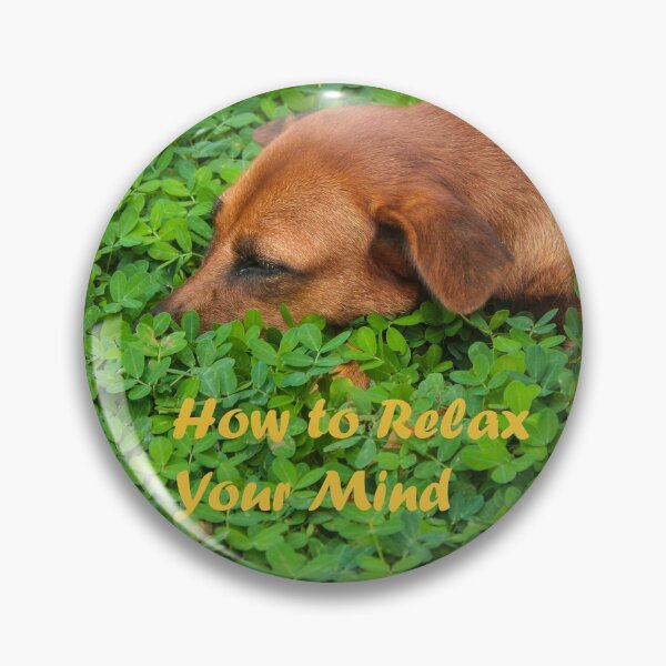 Item preview, Dog relaxation designed and sold by PayoLens.