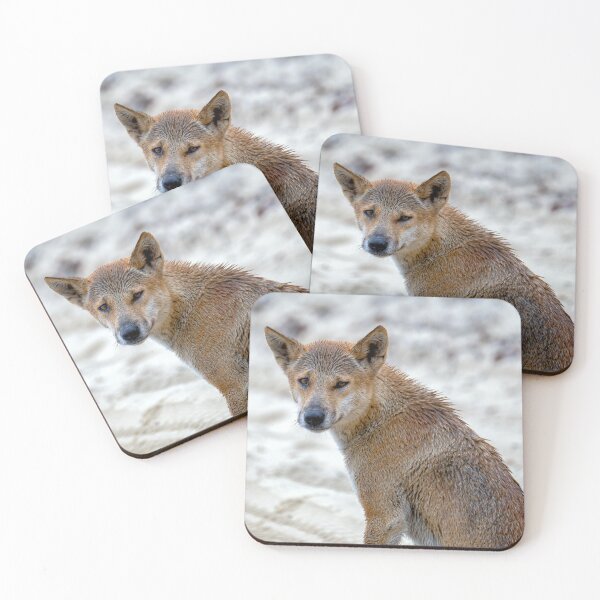 Item preview, Australian Dingo Portrait designed and sold by Catherine Reading.