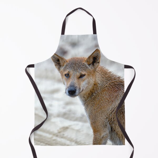 Item preview, Australian Dingo Portrait designed and sold by Catherine Reading.