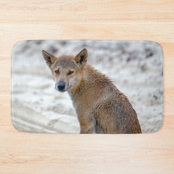 Item preview, Australian Dingo Portrait designed and sold by Catherine Reading.