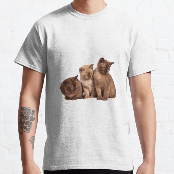 Www Cat Wep Com - Kid E Cats T-Shirts for Sale | Redbubble