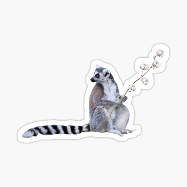 Cute Lemur and flowers Sticker