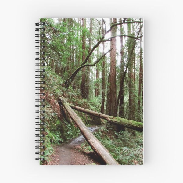 Item preview, Tamalpais Hike - Trees designed and sold by AwayLaughing.