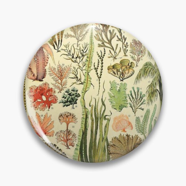 Item preview, Underwater garden designed and sold by ChaChings.