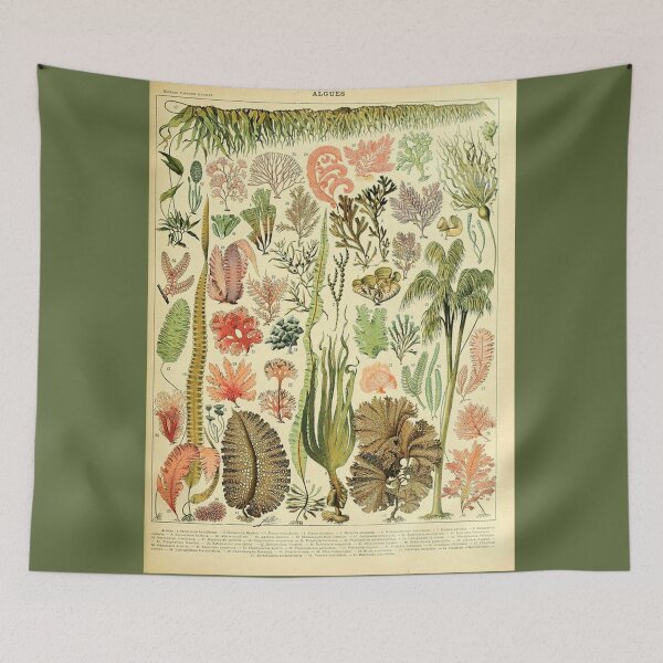 Item preview, Underwater garden designed and sold by ChaChings.