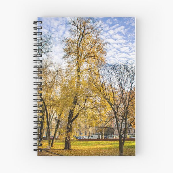 Item preview, An Autumn with beautiful trees in Francesco Rucci Garden- Park designed and sold by aryabehnam.