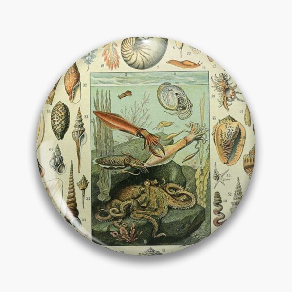 Item preview, Come out of your shell! designed and sold by ChaChings.