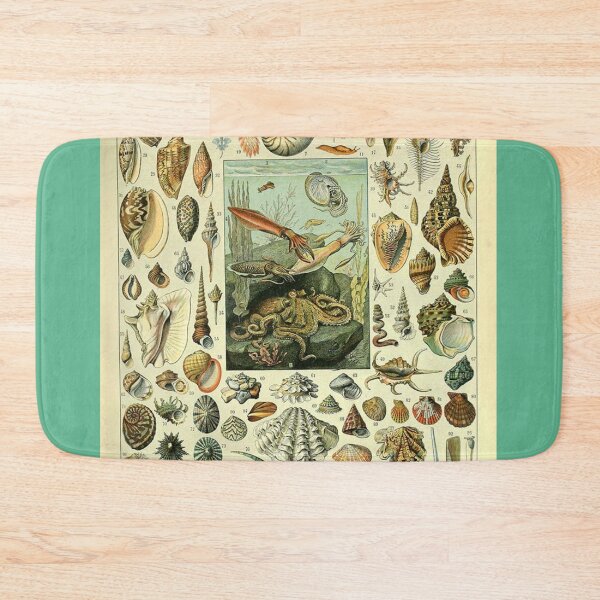 Item preview, Come out of your shell! designed and sold by ChaChings.