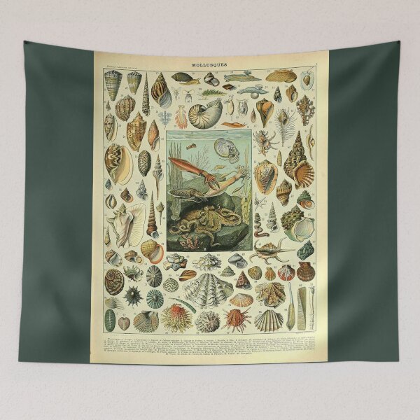 Item preview, Come out of your shell! designed and sold by ChaChings.