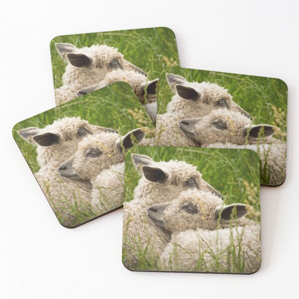 Item preview, Twin Wensleydale Sheep Lambs designed and sold by Jane Stanley Photography.