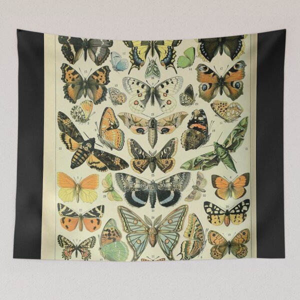 Item preview, Vintage butterfly study designed and sold by ChaChings.