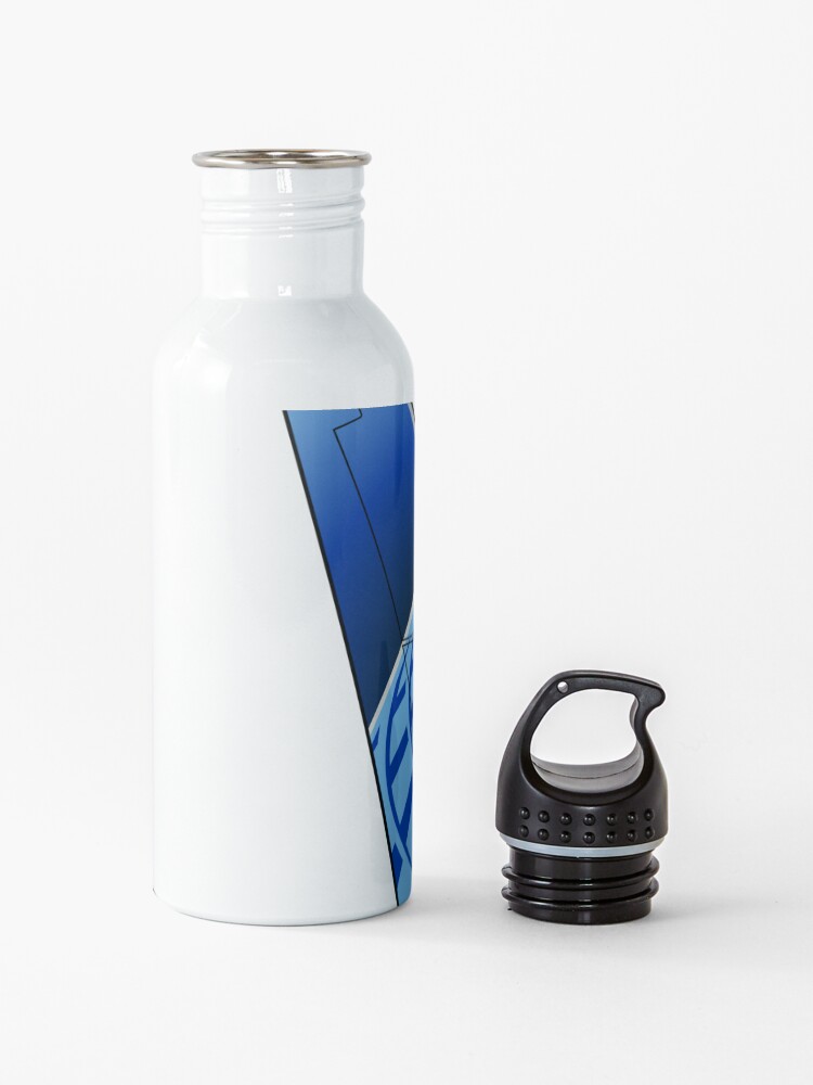 "United Airlines Boeing 737800 "Blue Evolution" Tail (Right Facing