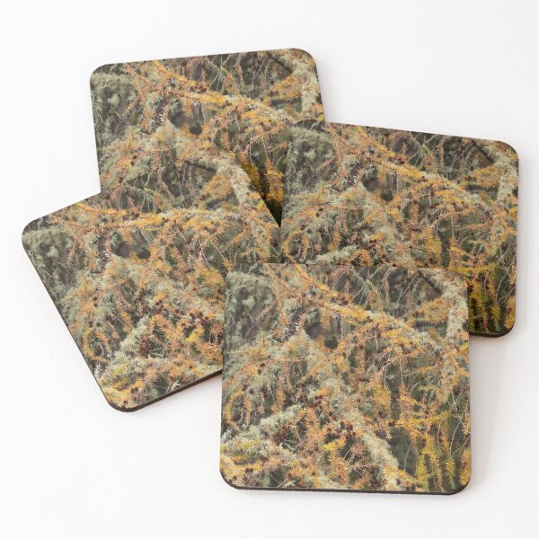 Item preview, Larch Trees at Rogie Falls designed and sold by ccullen222.