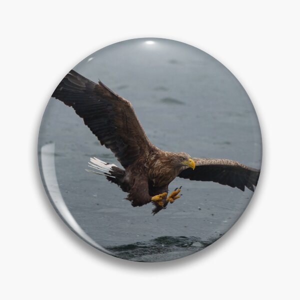 Item preview, White Tailed Eagle designed and sold by iaintall.