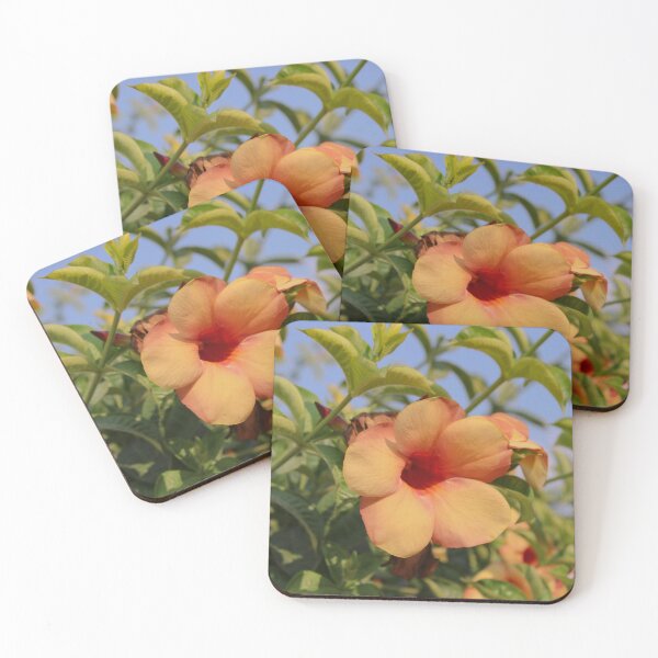 Item preview, Golden Trumpet Orange Flower Bloom designed and sold by Bryony Rose.
