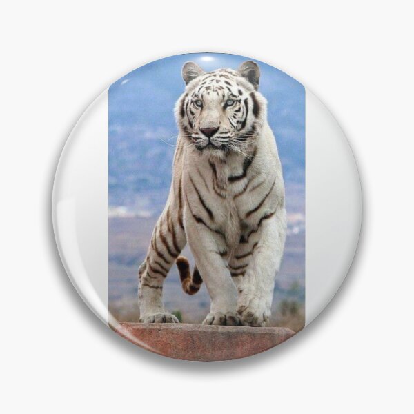 Item preview, Snow white tiger designed and sold by azomiross.
