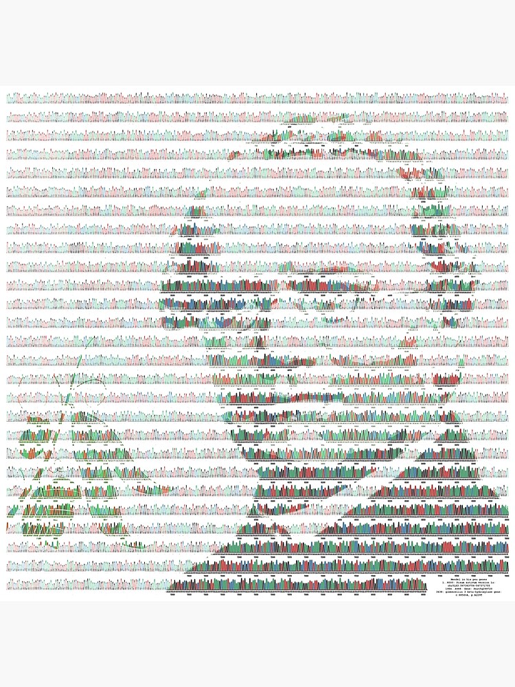 Mendel in his pea genes by dansdna