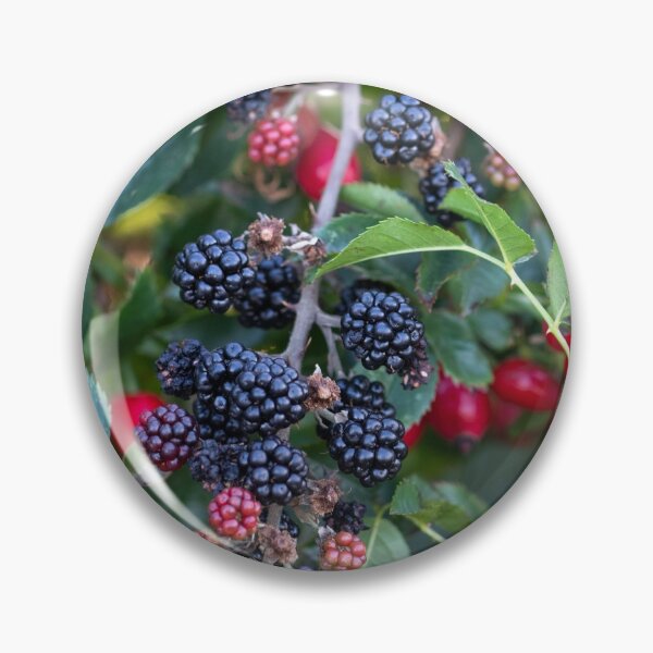 Item preview, Suffolk summer hedgerow designed and sold by ccullen222.