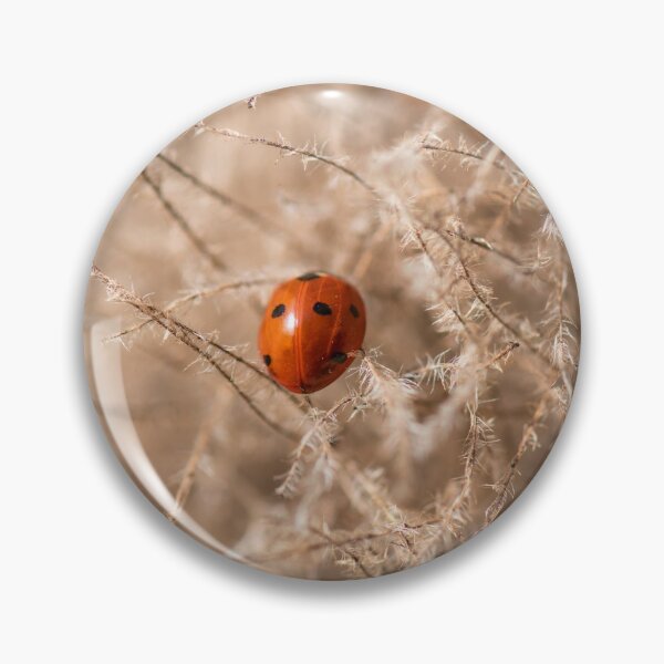 Item preview, Ladybird on a smokebush designed and sold by ccullen222.