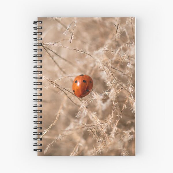 Item preview, Ladybird on a smokebush designed and sold by ccullen222.