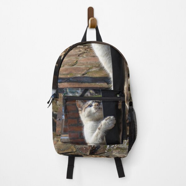 Item preview, Cat designed and sold by Srdjan Petrovic.