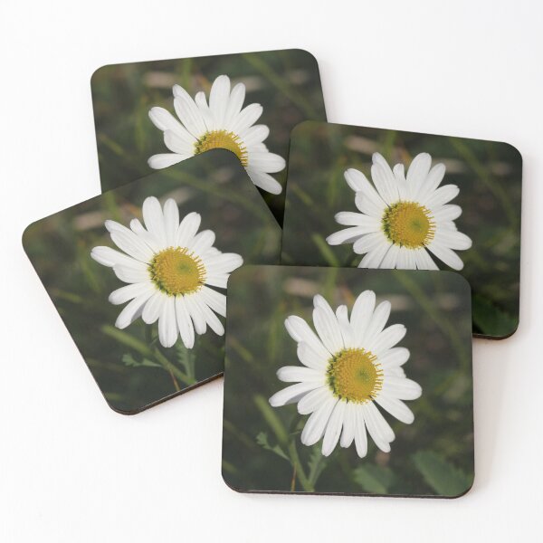 Item preview, daisy designed and sold by silbart.