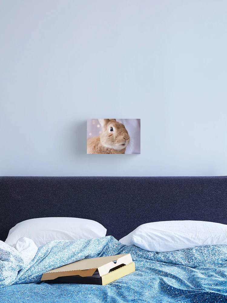 Thumbnail 2 of 3, Canvas Print, What's up Rabbit designed and sold by Rabbitti.