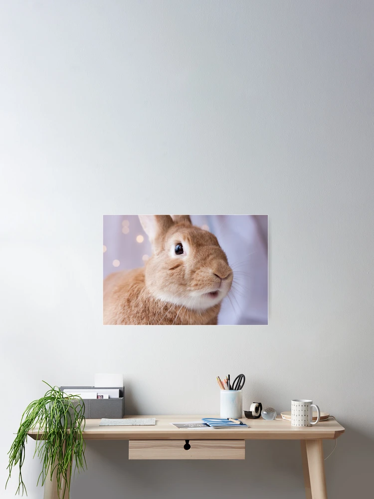 Thumbnail 2 of 3, Poster, What's up Rabbit designed and sold by Rabbitti.