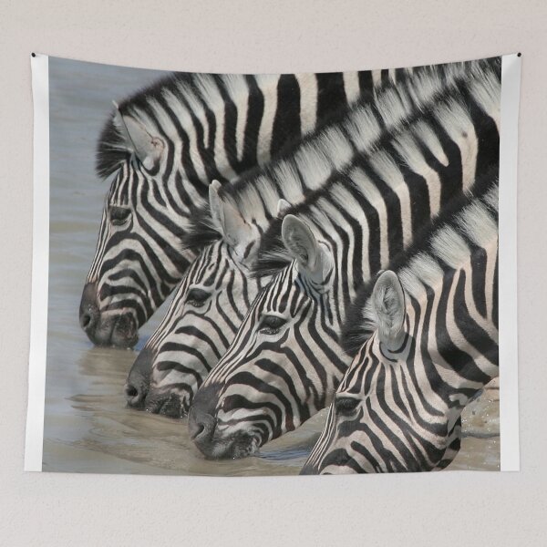 Item preview, Zebras drinking designed and sold by Melissa Peltenburg.