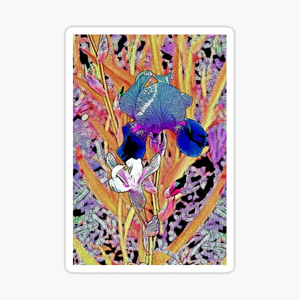 Item preview, Two Irises Photograph Digital Var 1 designed and sold by Heatherian.
