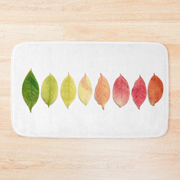 Item preview, Flat lay of autumn designed and sold by S0bek.