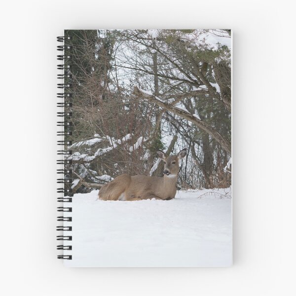 Item preview, the matriarch designed and sold by distracted.