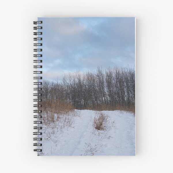 Item preview, snowy path designed and sold by distracted.