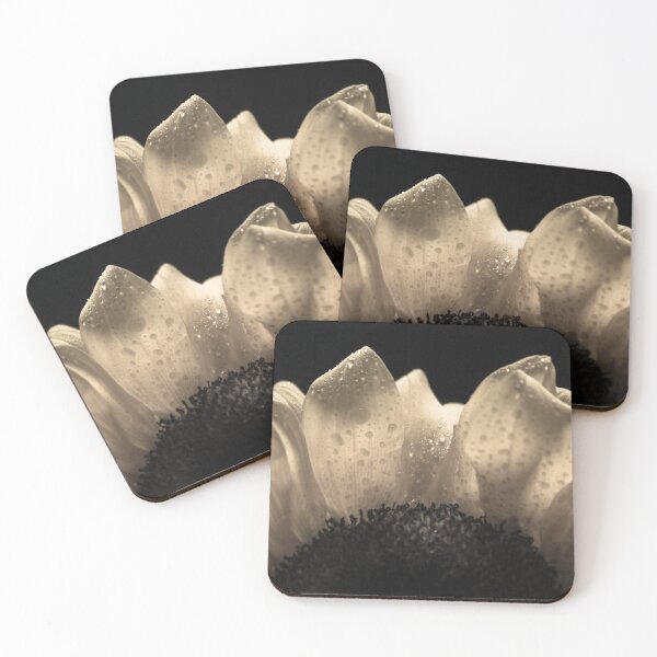Item preview, Sunflower Petals 2  designed and sold by Robert Alsop.