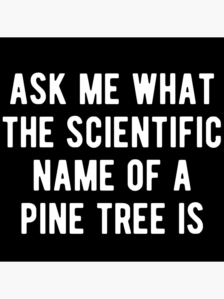 pine-tree-scientific-name-meme-poster-for-sale-by-m95sim-redbubble