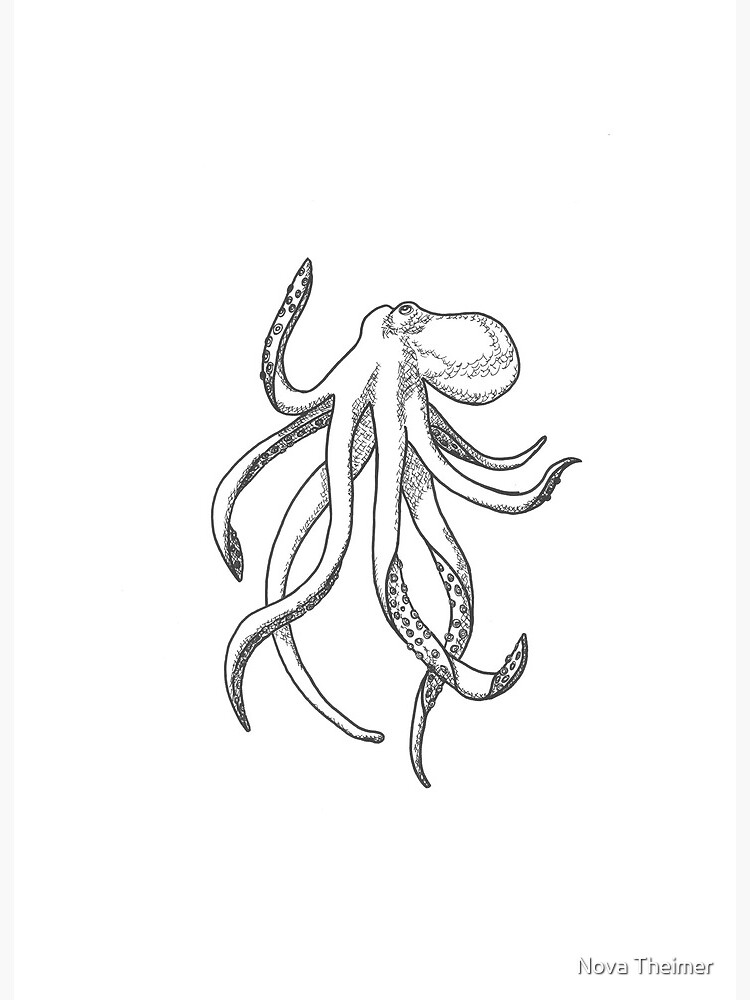 Buy Rainbow Octopus Clipart Online in India - Etsy