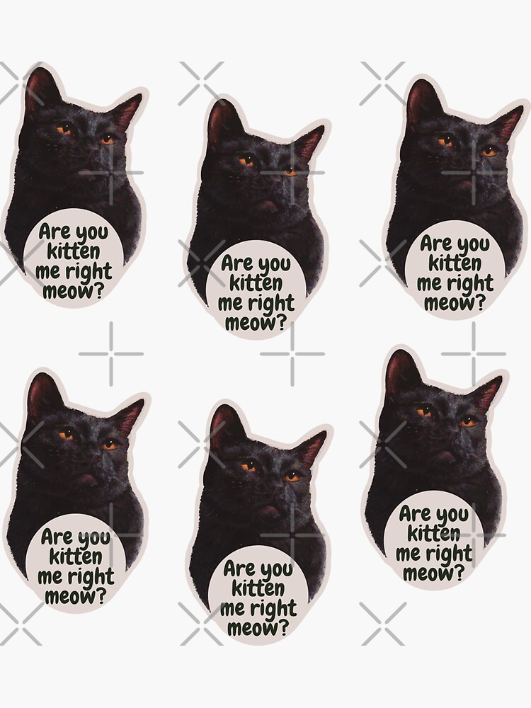 Are You Kitten Me Right Meow Sticker For Sale By Posterpartyco