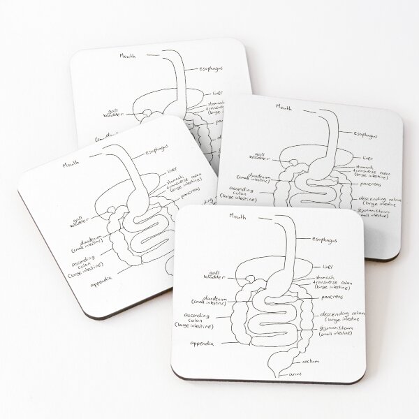 Item preview, Digestive system designed and sold by HannBear.