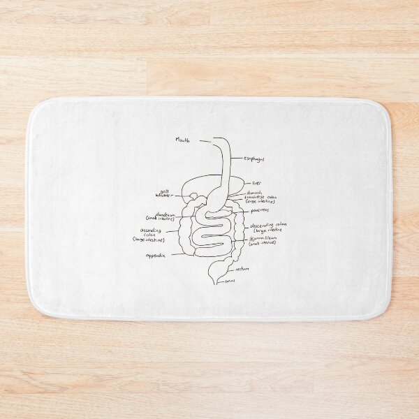 Item preview, Digestive system designed and sold by HannBear.