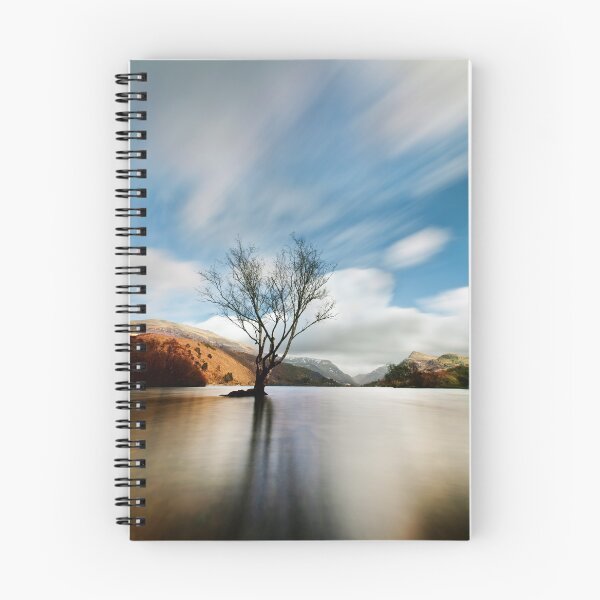 Item preview, Lake Tree designed and sold by bcash.