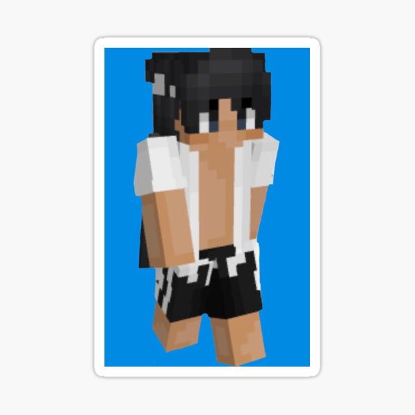 Sapnap Minecraft Skin Sticker | Postcard