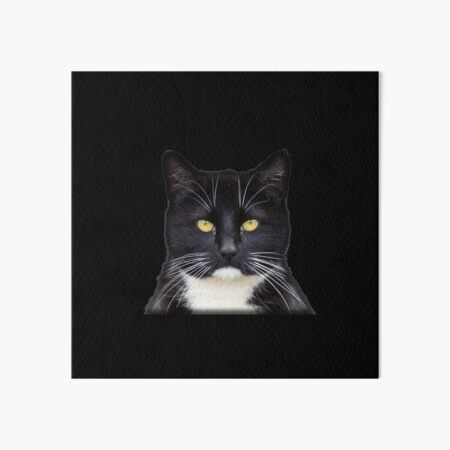 Item preview, Tuxedo Black & White Kitty Cat Golden Eyes  designed and sold by TLSDesigns.