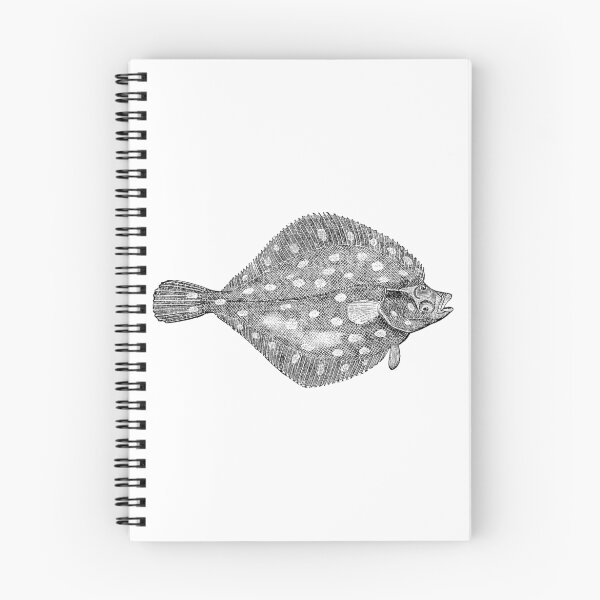Item preview, Vintage Flatfish Fish Illustration Retro 1800s Black and White Flounder Image designed and sold by SilverSpiral.