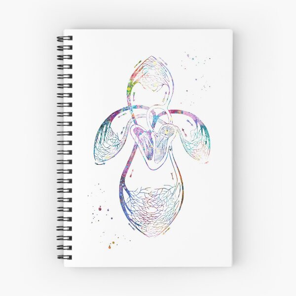 Item preview, Organs of Circulation designed and sold by EvasDreams.