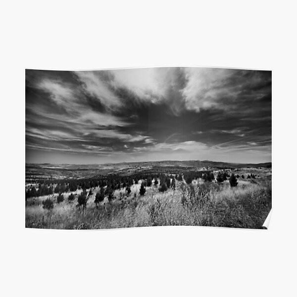 Channeling Ansel Adams Poster