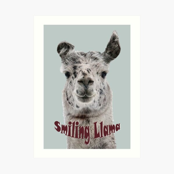 Produits Sur Le Theme Lama Souriant Redbubble