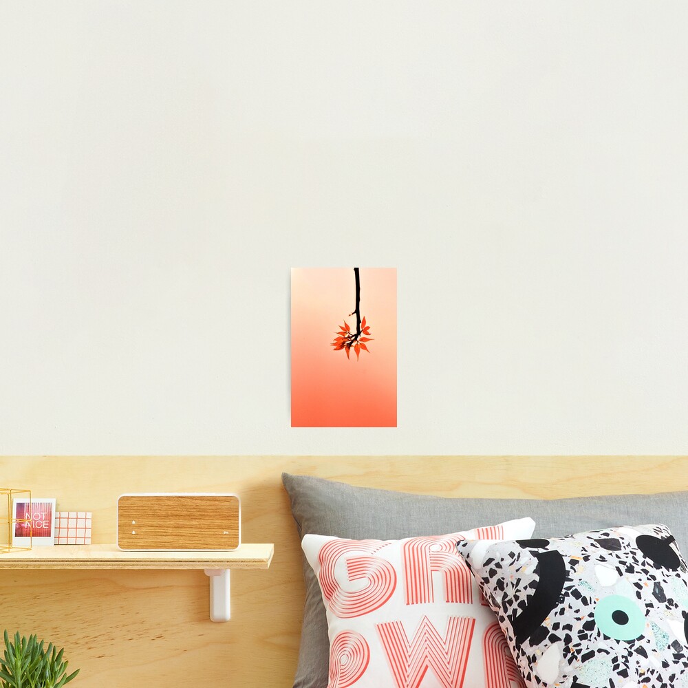 Item preview, Photographic Print designed and sold by Valerie Rosen Photography.